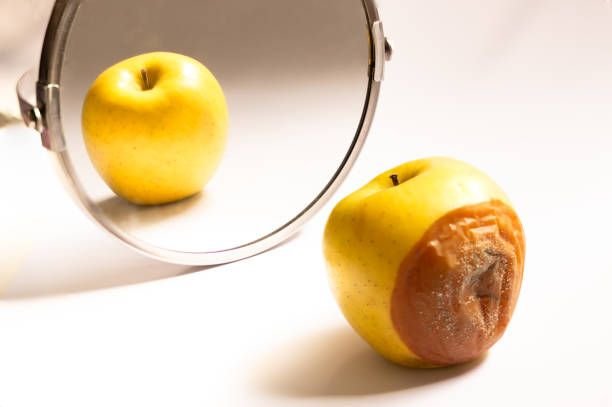 istockphoto-1225356870-612x612366724096244573716-1
