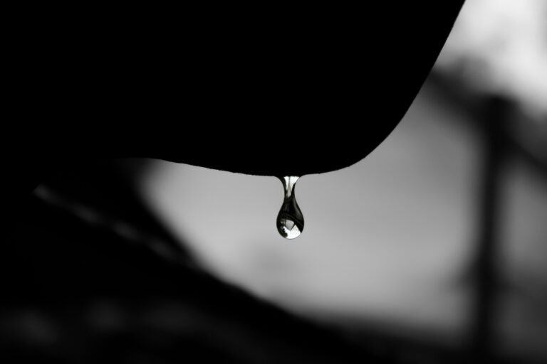 mayank-dhanawade-HuF1VgHHoWI-unsplash